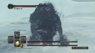 Dark Souls 2 - Lud and Zallen Boss Fight