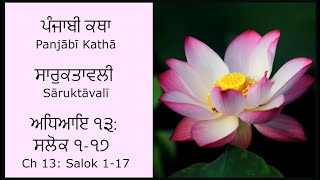 Saruktavali Katha Chapter 13: Salok 1-17 | ਸਾਰੁਕਤਾਵਲੀ  ਕਥਾ ਅਧਿਆਇ ੧੩: ਸਲੋਕ ੧-੧੭