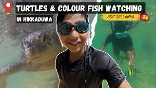 Hikkaduwa Beach Sri Lanka | Turtles \u0026 colour fish watching in Hikkaduwa |  Travel with Matthew