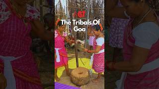 గోవాలోని గిరిజన సంఘాలను ఒకసారి చూడండి #tribal #goaheritage #goaculture #tribe #goatraditions