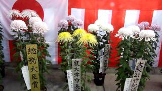 ２０１０年１１月６日国華園の菊ー9