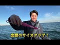 【hondex】やっぱりアジ釣りは楽しい！クリアチャープ™魚探で見る！東京湾アジング編