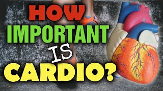 Year Round Cardio - The Holy Grail of FAT LOSS!!!