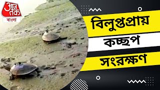 বিলুপ্তপ্রায় প্রজাতির কচ্ছপ সংরক্ষণ। সুন্দরবনে তথ্য সংগ্রহ করছে বন দফতর। Conservation of tortoise.