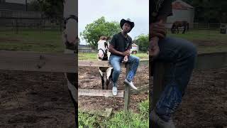 How I Find Good Horses