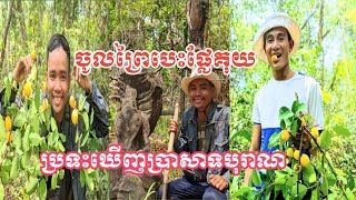 ចូលព្រៃបេះគុយ ប្រទះឃើញ ប្រាសាទបុរាណ (Found the hided temple in the Jungle)