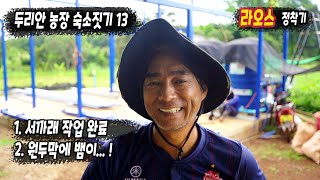 ep373 두리안농장, 직원 숙소 짓기 13 (서까래 작업), 원두막에 뱀 출몰!