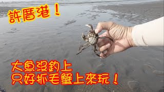 沒釣到大魚，抓毛蟹起來玩。I didn't catch any big fish, so we started playing crabs.