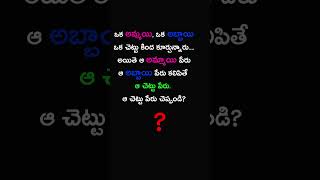 ఆ చెట్టు పేరు చెప్పండి | Boy and Girl puzzle telugu