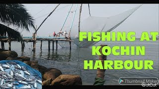 Fishing At Kochin Harbour