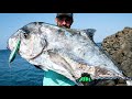 giant african pompano in cape verde