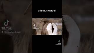 САМІ СМІШНІ ШУТКИ СВІТУ,ПРИКОЛИ 2222р РЖАКА ДО СЛІЗ!!!