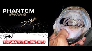 How Bad Ass Is The Lunkerhunt Phantom Spider?!