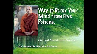 Way to Detox Your Mind from Five Poisons.