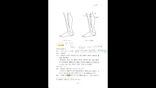 (취혈) 신관 사지