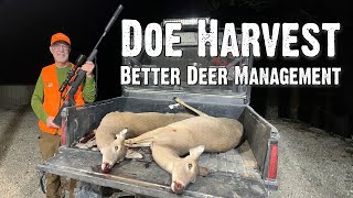 Double Doe Harvest - Why We're Targeting Does