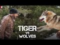 Tiger vs Wolves - Promo | Tiger Zinda Hai | Salman Khan | Katrina Kaif | Ali Abbas Zafar Tiger vs Wolves - Promo | Tiger Zinda Hai | Salman Khan | Katrina Kaif | Ali Abbas Zafar