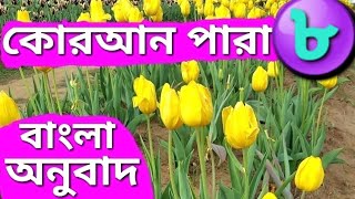 বাংলা অনুবাদ কোরআন পারা ৮ |Quran Para 8 With Bangla Translation |