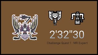 [MHW IB] - 6★ Challenge Quest 1: MR Expert - ＭＲ上級チャレンジクエスト01 - Duo CB+HBG - 2'32''30