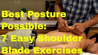 Best Posture Possible: 7 Easy Shoulder Blade Exercises.
