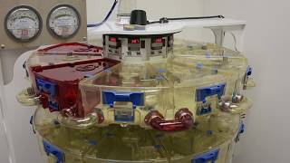 SMART System | How Do Heated IVC Cages Help Your Laboratory Mouse?