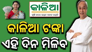 ଖୁବଶୀଘ୍ର ମିଳିବ କାଳିଆ ଟଙ୍କା!Kalia Yojana Payment Released Date 2024