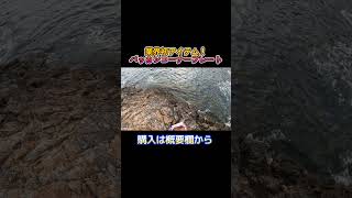 磯フカセ釣りの釣果を上げるアイテム登場！ #釣り #磯遊 #fishing #グレ釣り #遠投的技釣師団 #磯#shortvideo #フカセ釣り #shorts #バッカンコーナープレート