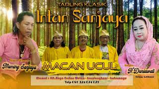 TARLING KLASIK INDRAMAYU - MACAN UCUL - TARLING DANGDUT INTAN SANJAYA