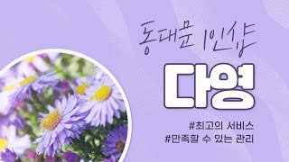 [동대문 1인샵 다영] 역대급 동대문 스웨디시를 받고 감동하다