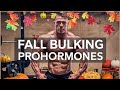 The Best Prohormones for Bulking & Mass | Fall Edition