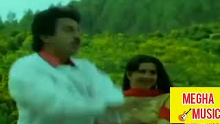 Vanithamani Vanamohini | Vidinthathu | Kamalhaasan Superhit Song | Ilayaraja Tamil Hit Song HD