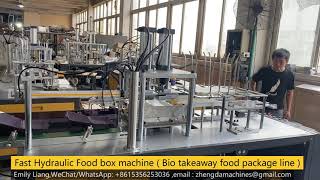 Best Hydraulic Paper Lunch Box Forming Machine Factory In Ruian ( Meal Box )