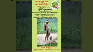 கோமணம் மனித பரிணாமத்தில் மிக முக்கியமானது | Annakili Arunraj | #shorts