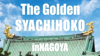 Do you know the symbol of Nagoya Castle is the “Golden Shachihoko”?