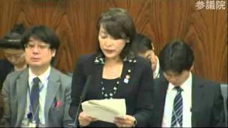 H25.10.29 参議院 内閣委員会