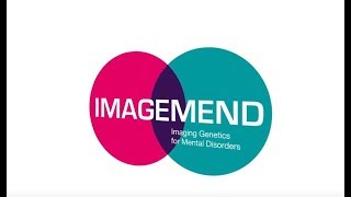 The IMAGEMEND research project - Identifying predictive markers for mental illness