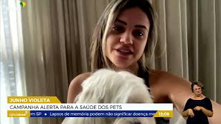 Campanha alerta para a saúde dos pets