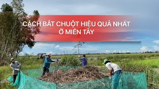 DỠ CHÀ CHUỘT MÙA NƯỚC NỔI • KẾT QUẢ XEM ĐÃ MẮT • Mouse