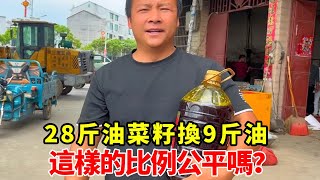 28斤油菜籽換9斤油，這樣的比例公平嗎？石頭得意洋洋的回家交差【石頭秀】