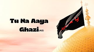 TU NA AYA GHAZI lyrics @Mir Hassan Mir by App X Ringtoner