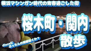 【桜木町・関内散歩】Vol.23　青春時代に遊んだ街を22年ぶりに再訪　街ぶら　おそとだいすき