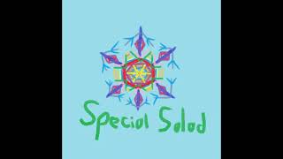 Solid Waves - Special Salad