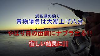 浜名湖青物釣り カモメが居ればチャンスは日の出前20分間 アブコ・イナダ