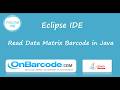 How to scan, read Data Matrix 2D barcodes using OnBarcode Java 2D Barcode Reader library