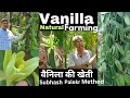 Vanilla farming, Vanilla ki kheti, वैनिला की खेती कैसे करे, #vanillafarming #naturalfarming