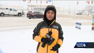 Snowstorm hits Cranberry Township