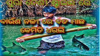 ବାଉଁଶ ନଳୀ ରେ ବଡ ମାଛ କେମିତି ଧରିଲି ? 😨😱 କେମିତି ଧରିବେ ? How To Catch Fish In Bamboo Tube ? @GDSP005 ||