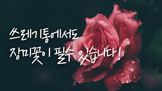 쓰레기통같은 인생일지라도, 장미꽃을 피울수 있습니다 | 성남제일교회 홍정기 담임목사 | 주일설교 5분메시지