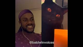 BaldwinVoices Cat Voice-Over Highlights