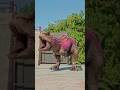 Disney Carnotaurus Vs Vastatosaurus Rex | Jurassic World Evolution 2